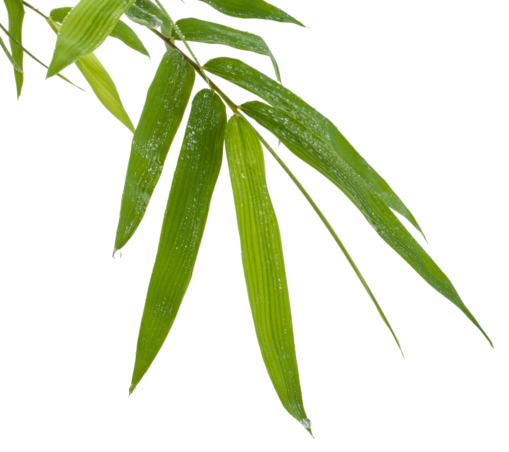 ЮНАЙ МЕХМЕДОВ