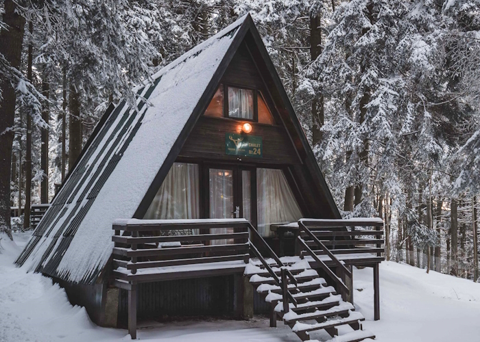 ЯГОДА И МАЛИНА