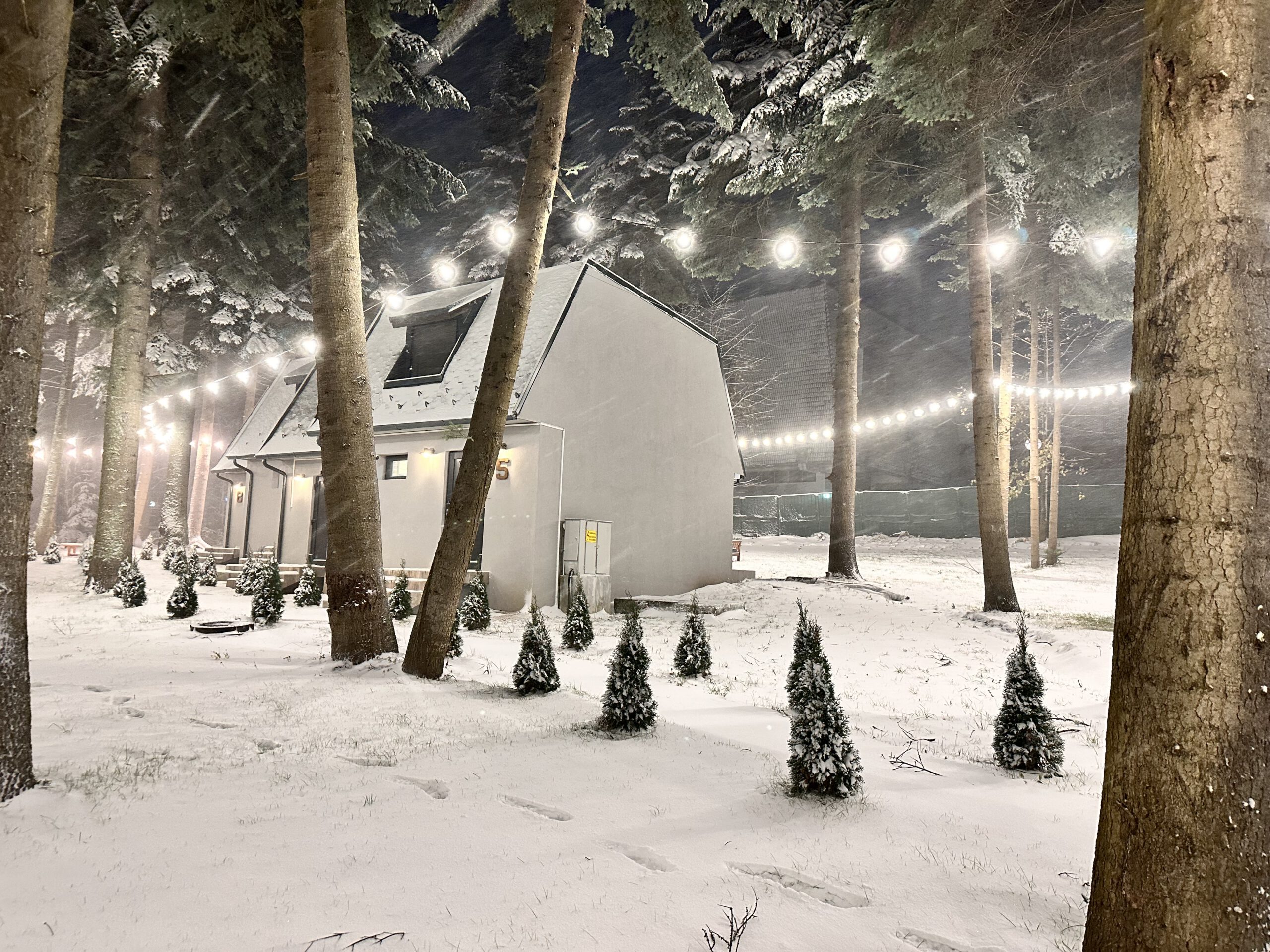 "БОРО ГРИЙН 2"