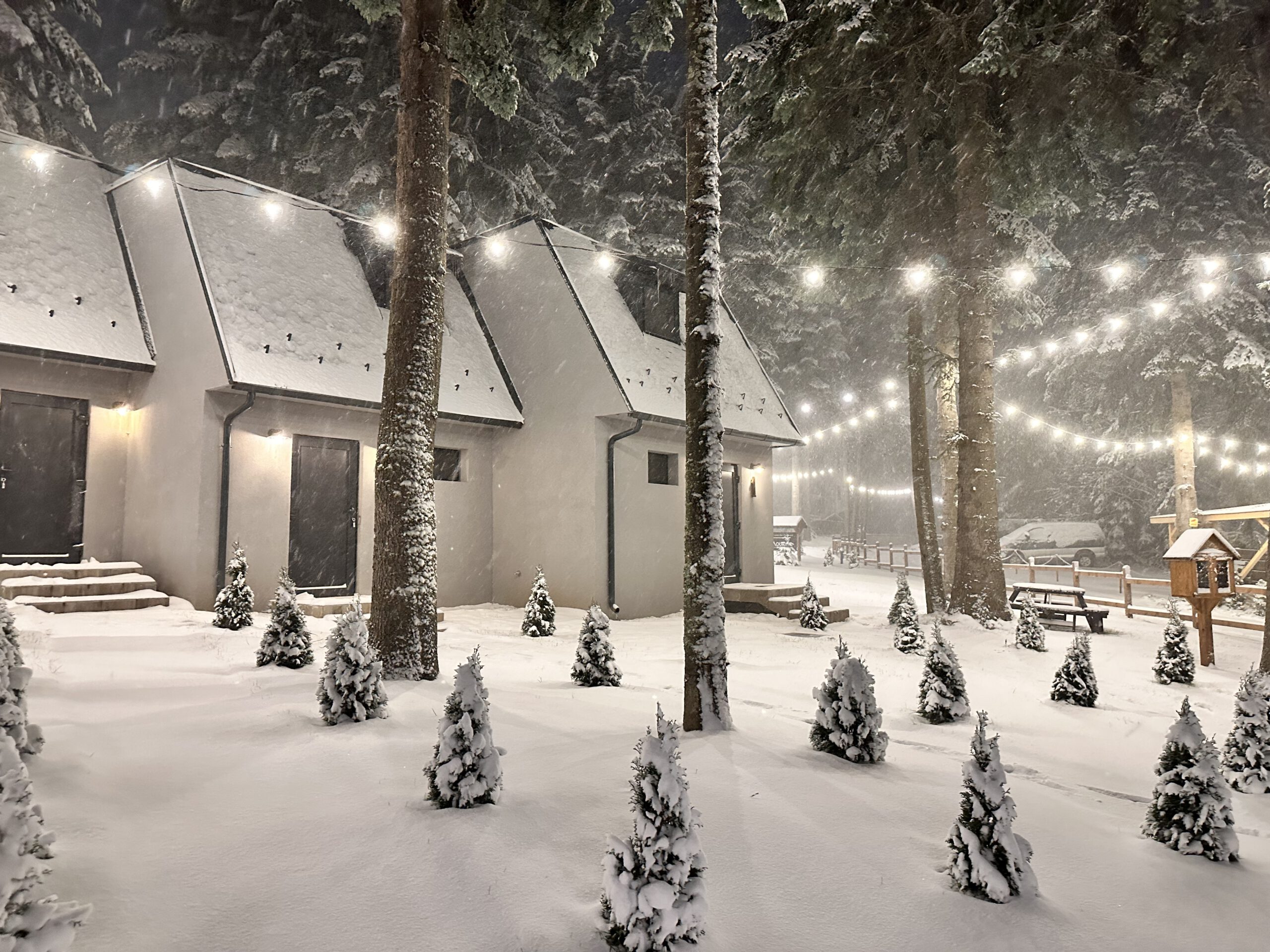 "БОРО ГРИЙН 4"