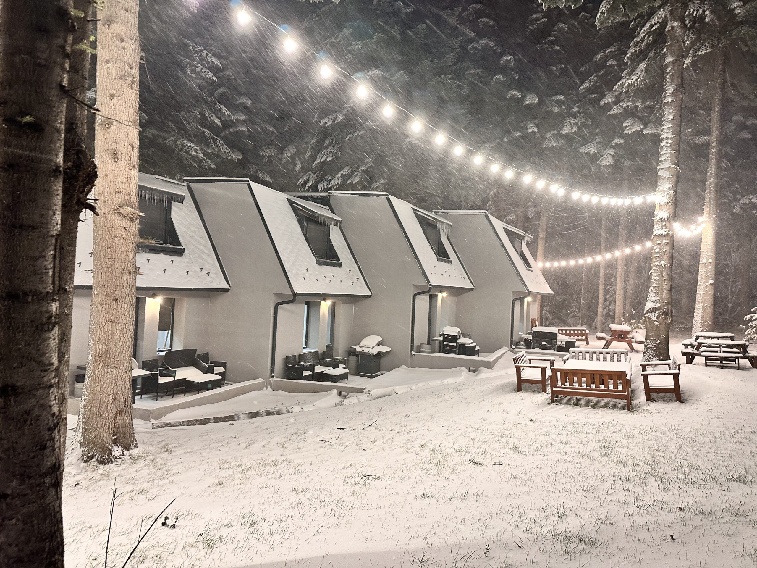 "БОРО ГРИЙН 8"