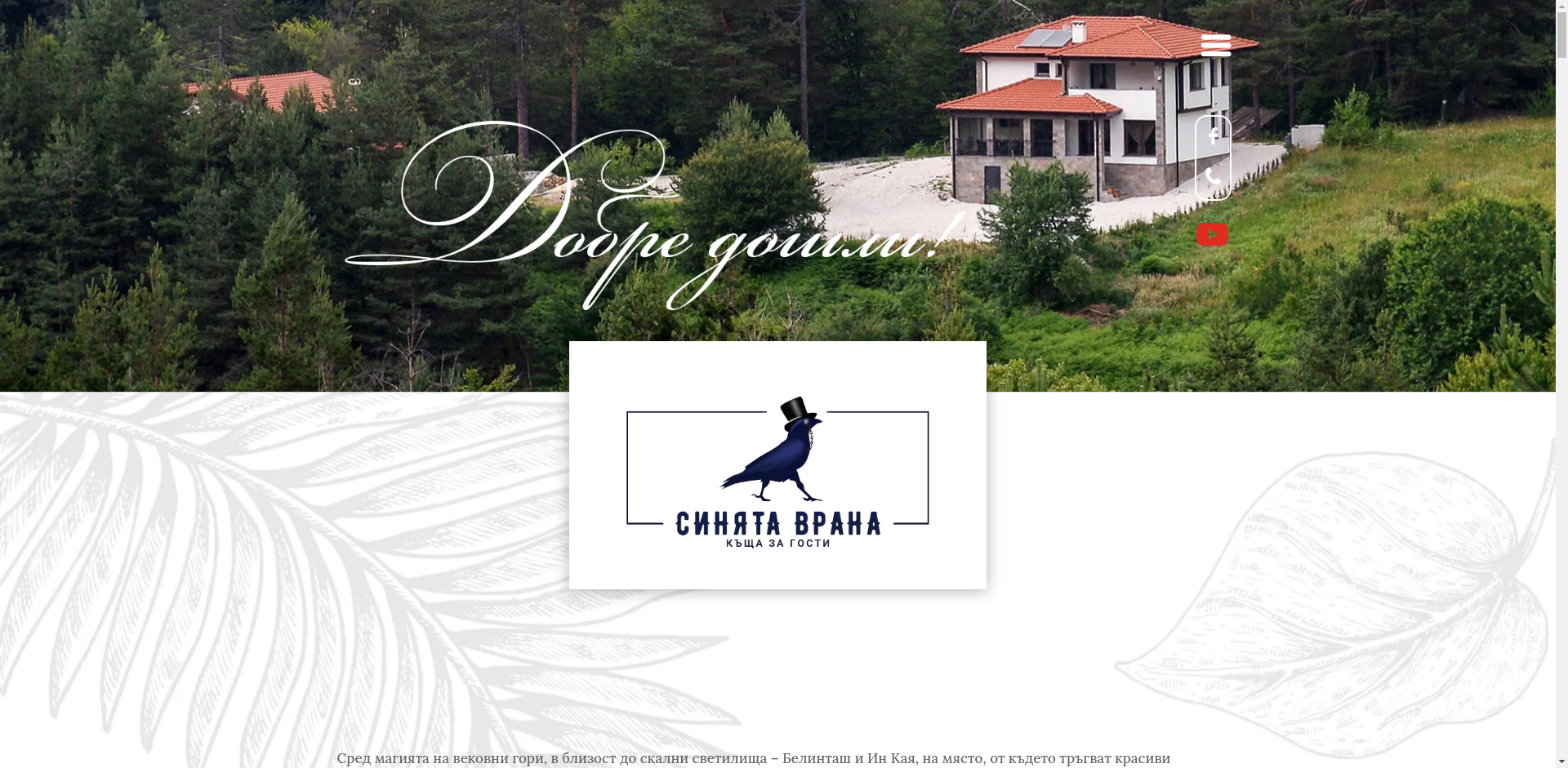 СИНЯТА ВРАНА