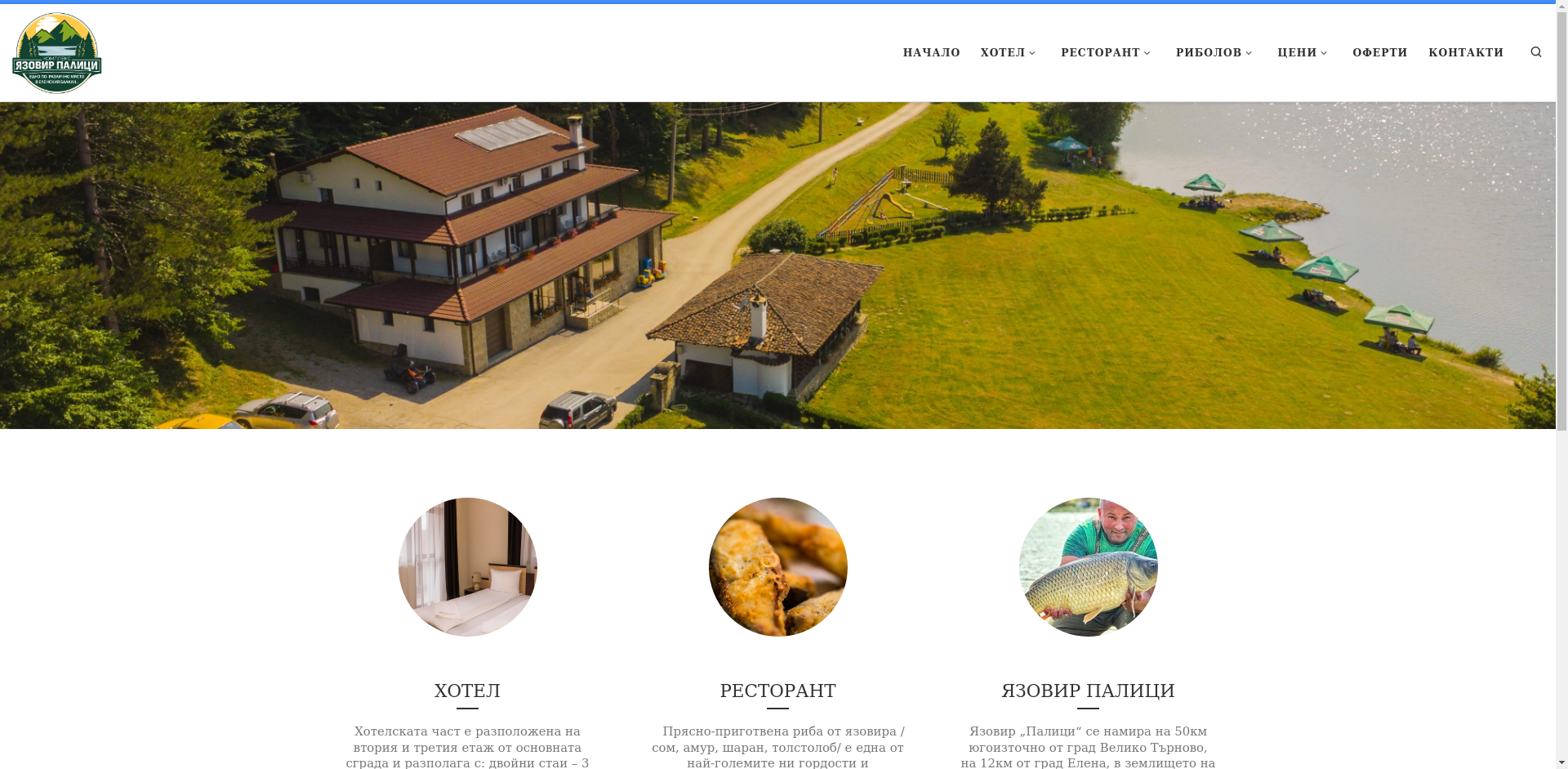 ЯЗОВИР ПАЛИЦИ