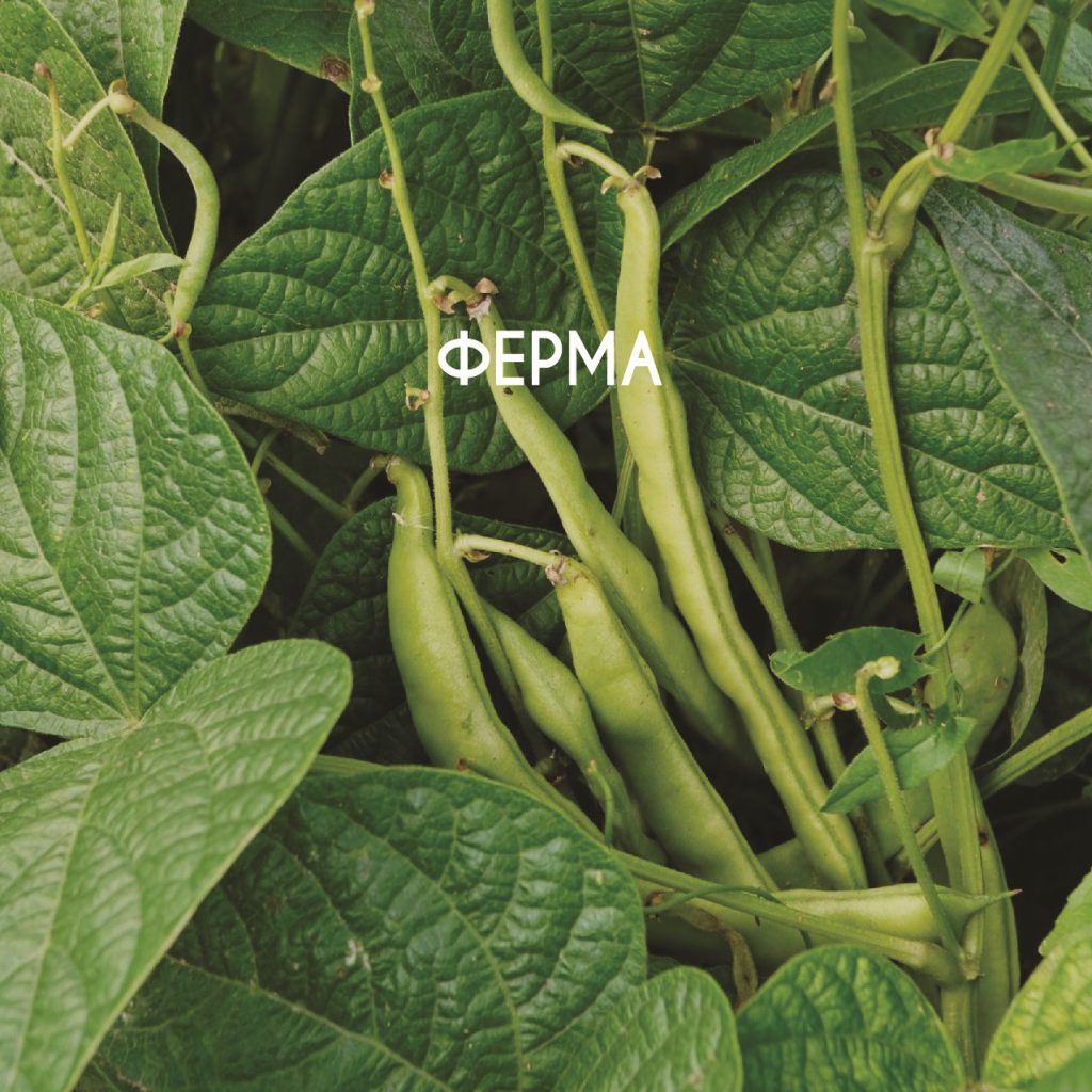 Семеен хотел  "Био хотел Моравско село "