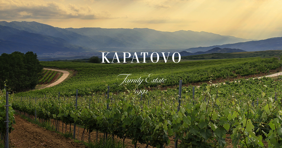 "КЪЩА ЗА ГОСТИ КАПАТОВО 2"