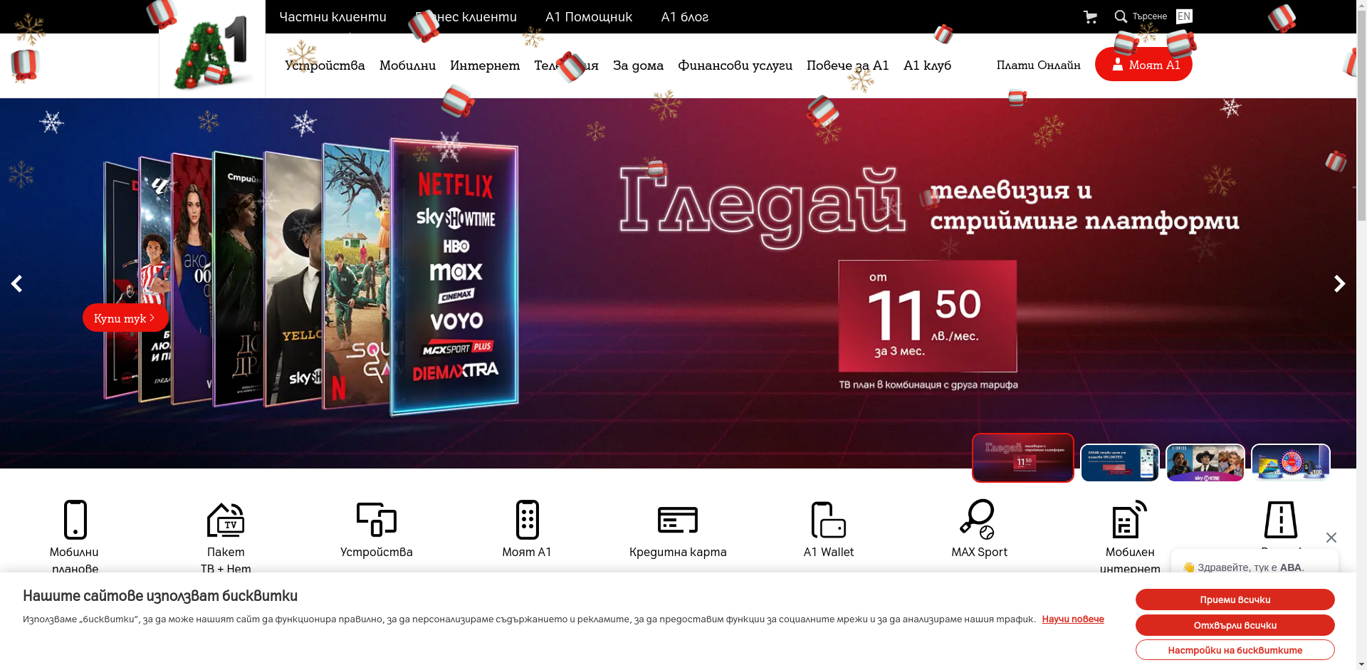 САМЪР ЛАЙФ - А1- 1