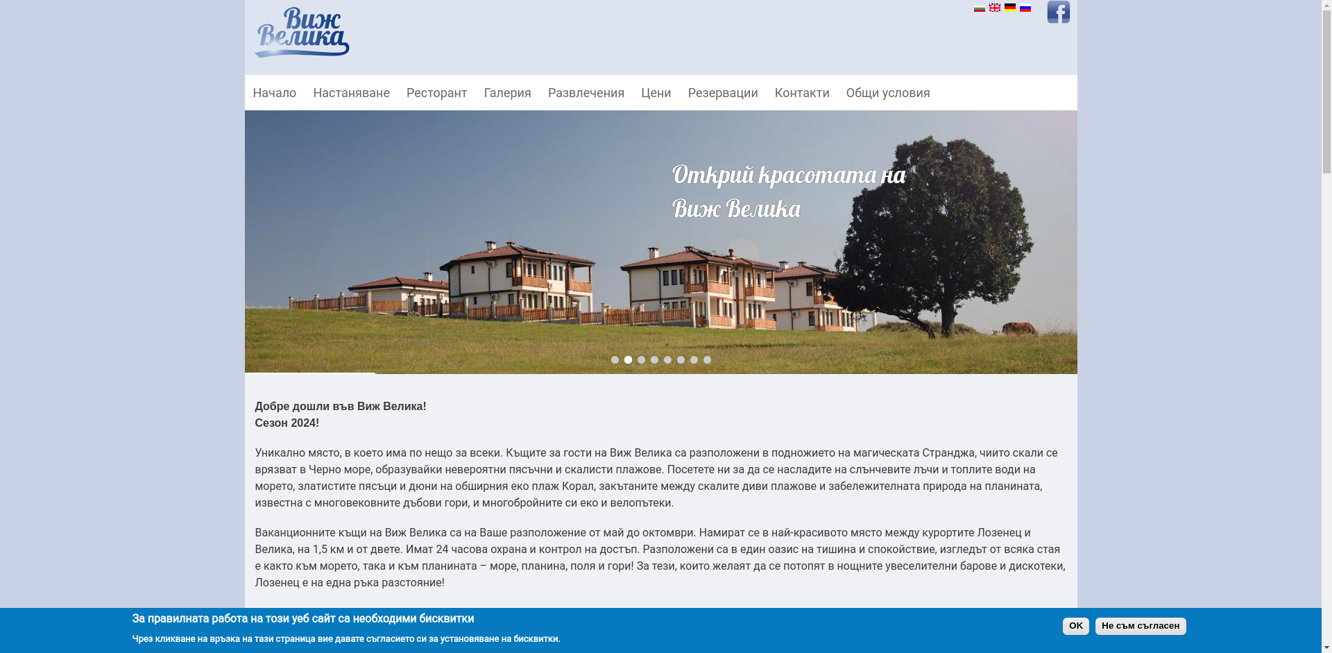 ВИЖ ВЕЛИКА Image