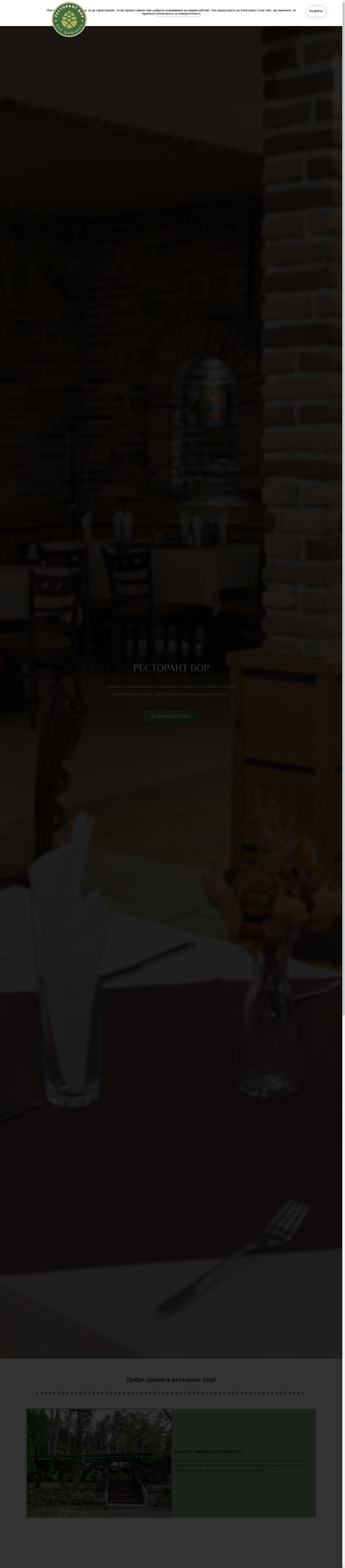 Бор и шишарка Image