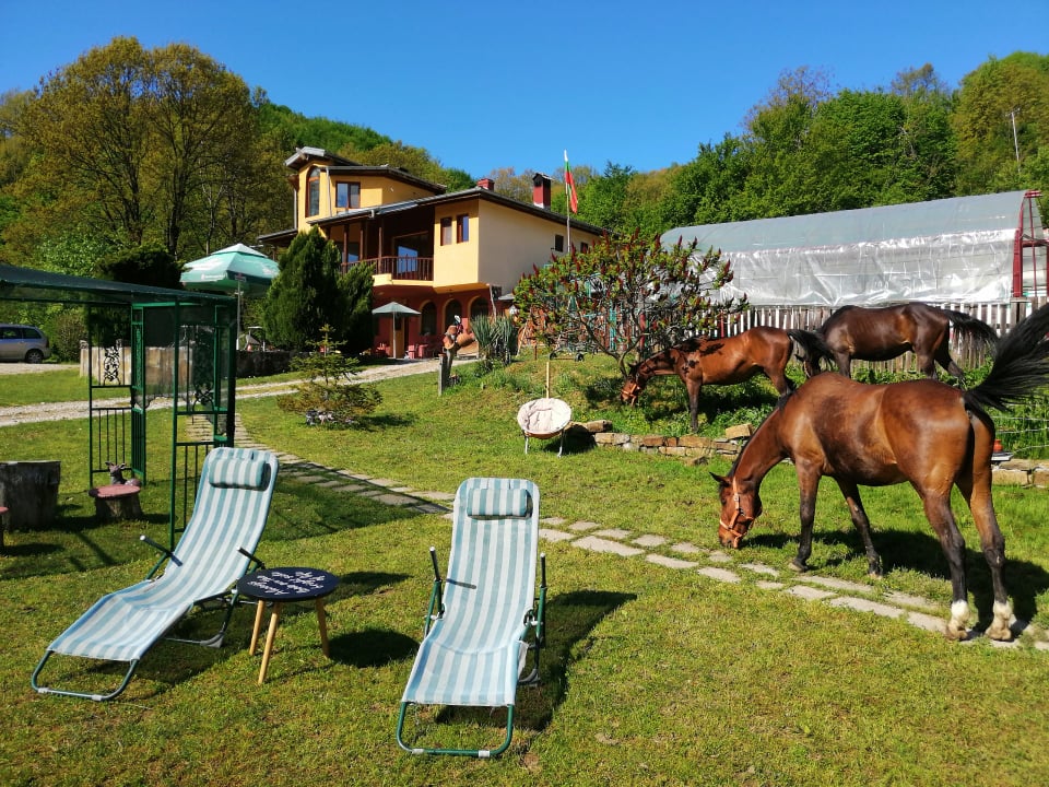 "Алфа - Даниел"