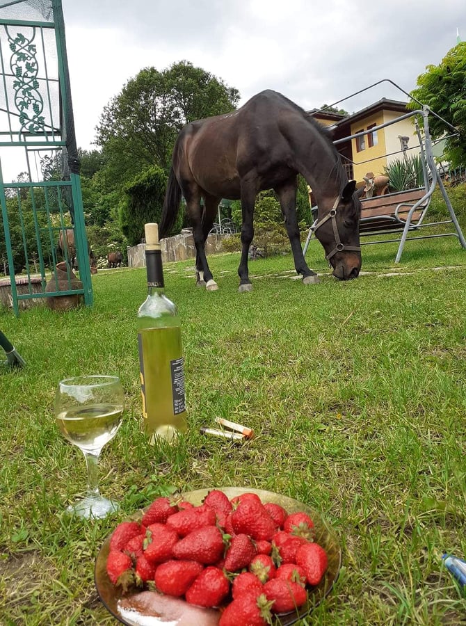 "Алфа - Даниел"