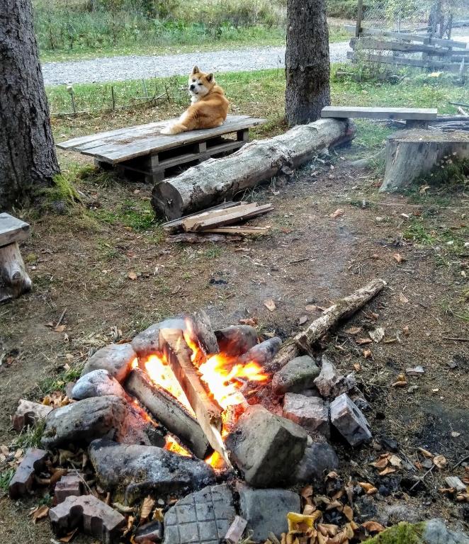  ЯВОРОВА ЛЪКА