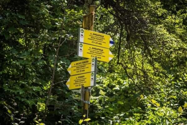  ЯВОРОВА ЛЪКА