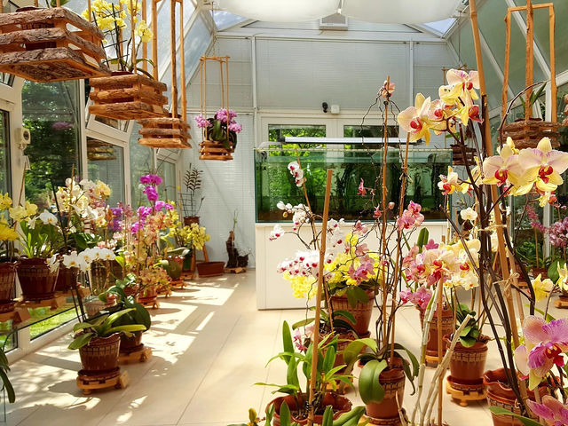 ВЕЦ "ЧЕРНИ ОСЪМ"