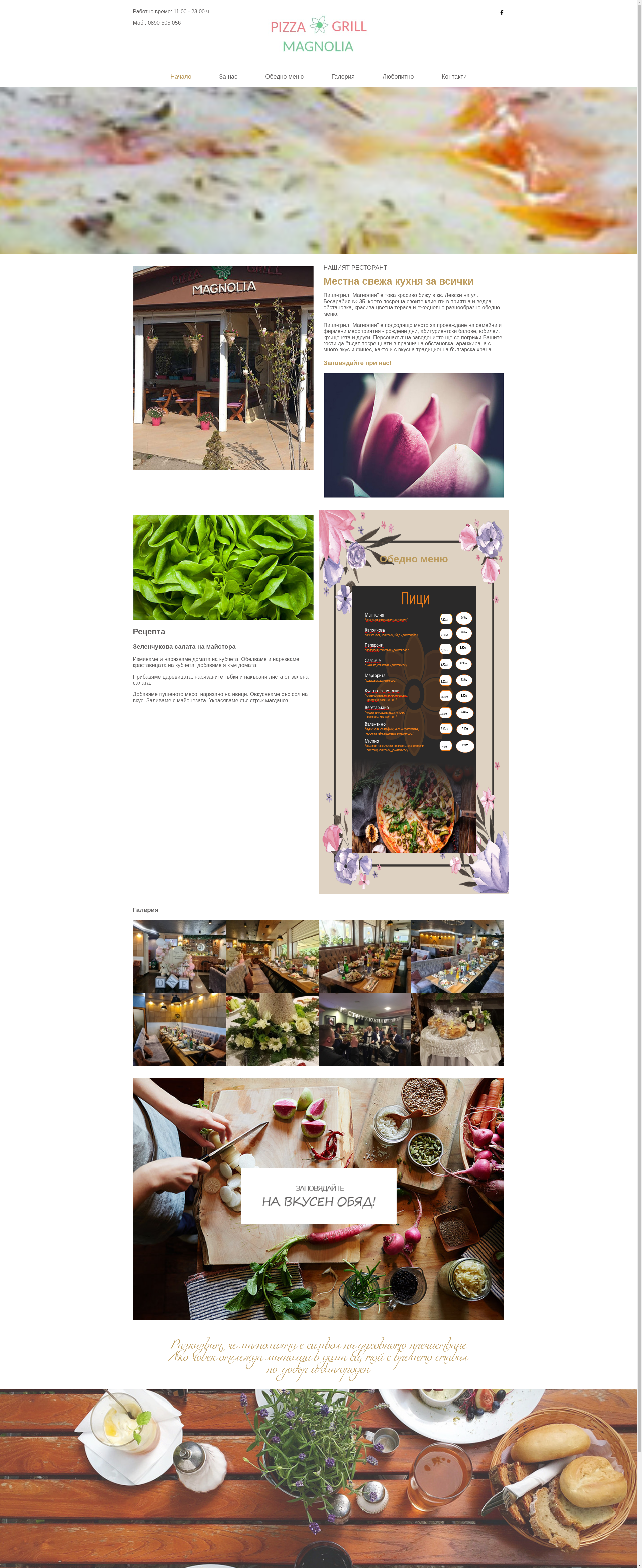 " Магнолия" Image