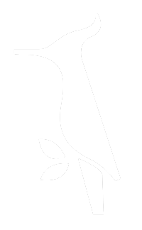 ВИЛИ-ПЕТЯ № 3