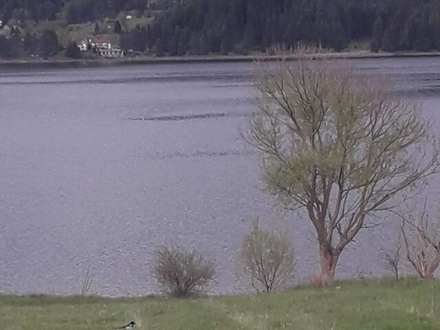 Къща за гости "Трампови"