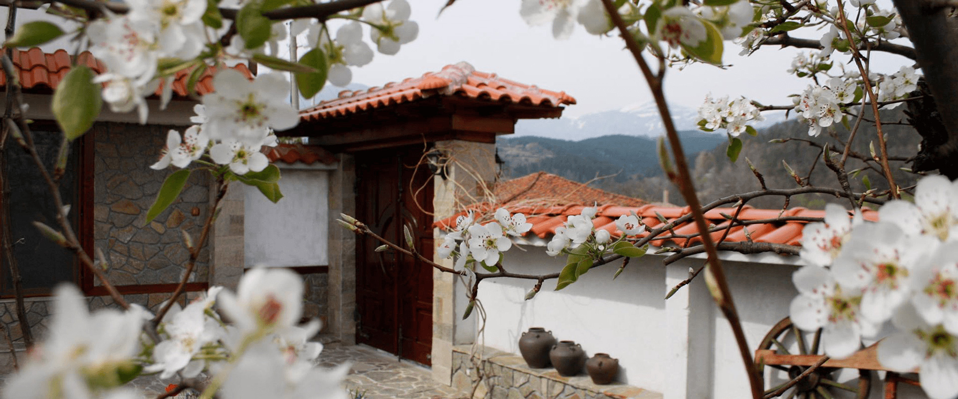 „ИЛИЙКОВАТА КЪЩА“