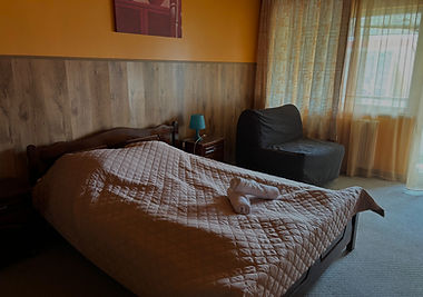 Хотел "Родопи"