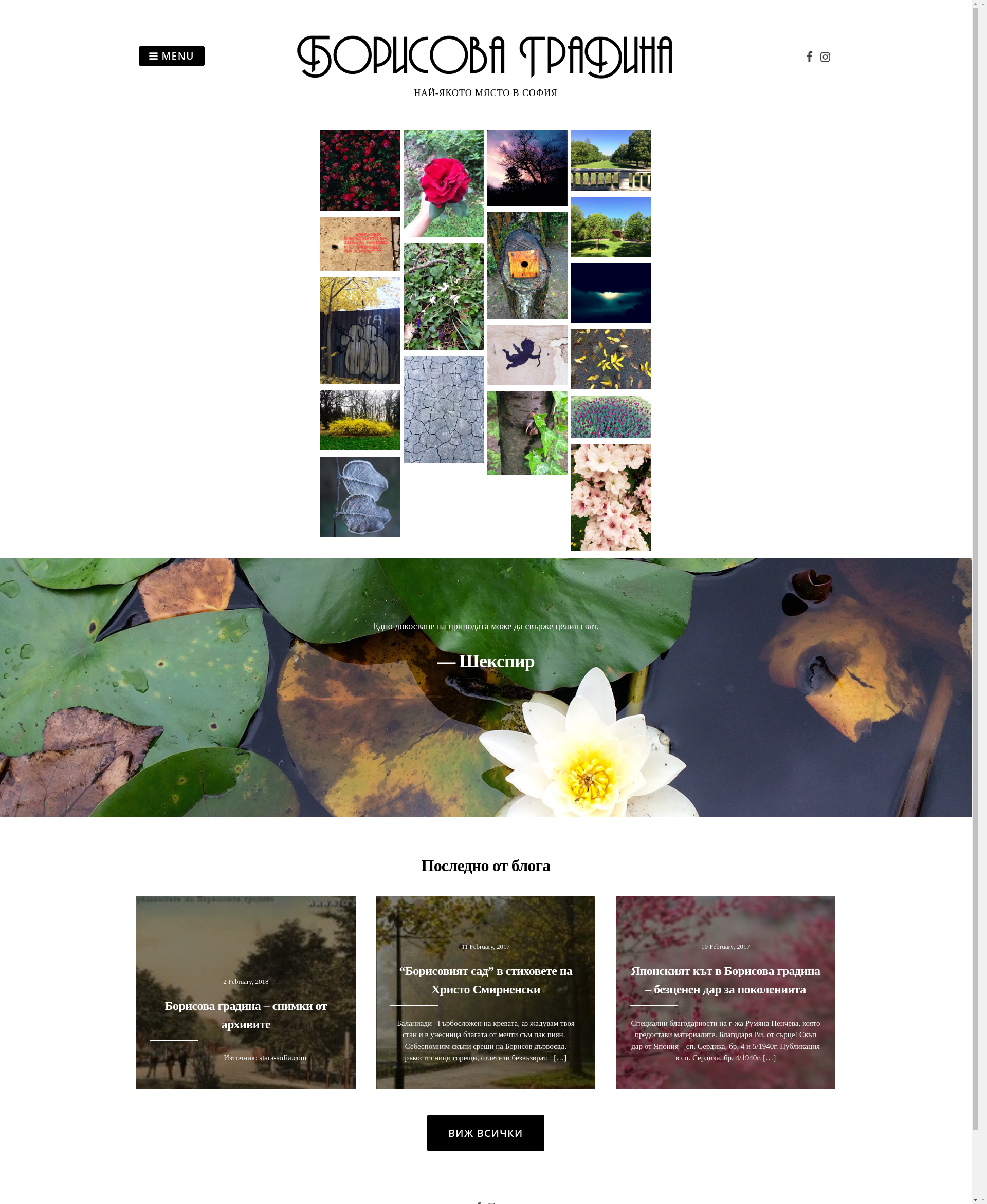 БОРИСОВАТА