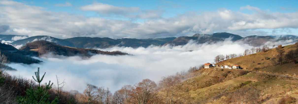 „ДЕВИН КОУЪРКИНГ"