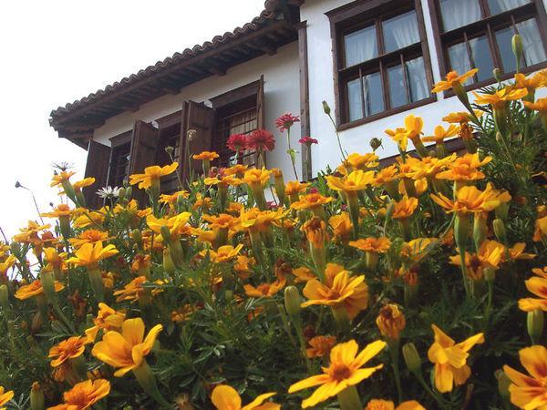 Къща за гости "Младенова къща"