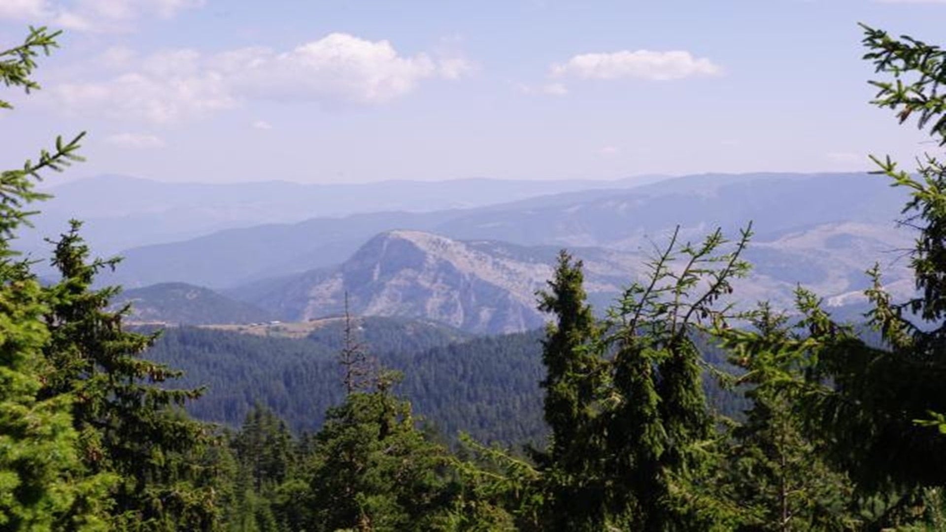 Родопска къща А - 8