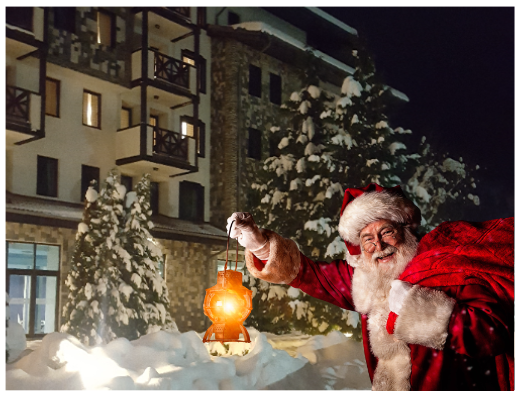 Родопска къща В-4