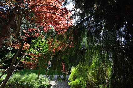 ДЮЛГЕРИТЕ -1