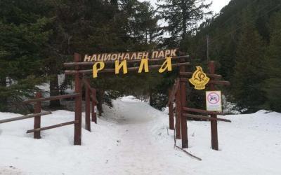 "АЛГАРТЕ ВИП"