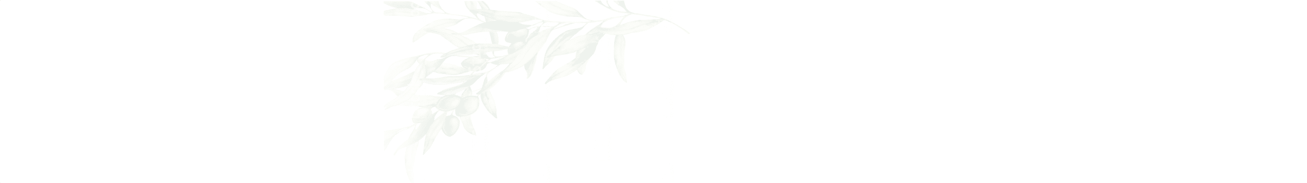 ОЛИВС СИТИ ХОТЕЛ