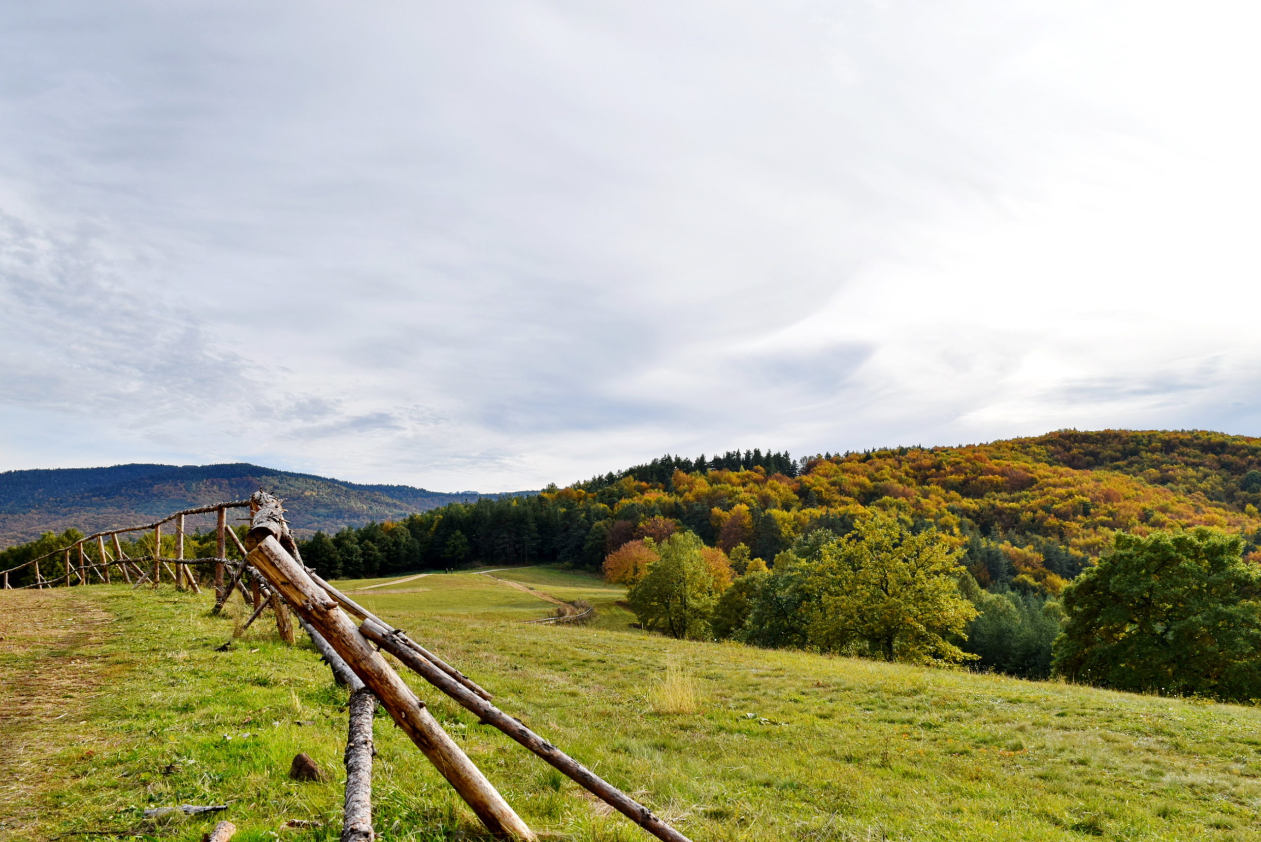 АПАРТАМЕНТ ЗА ГОСТИ "Белвеста"