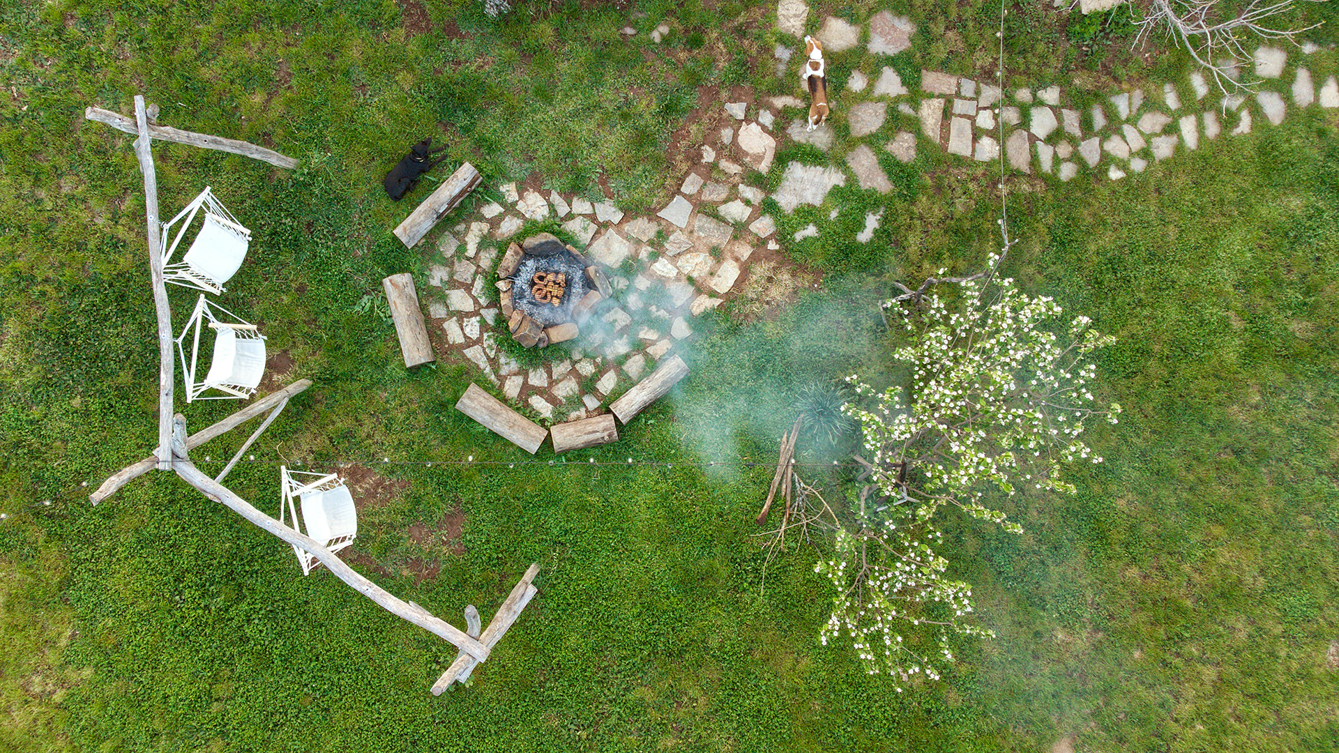 Старото гнездо