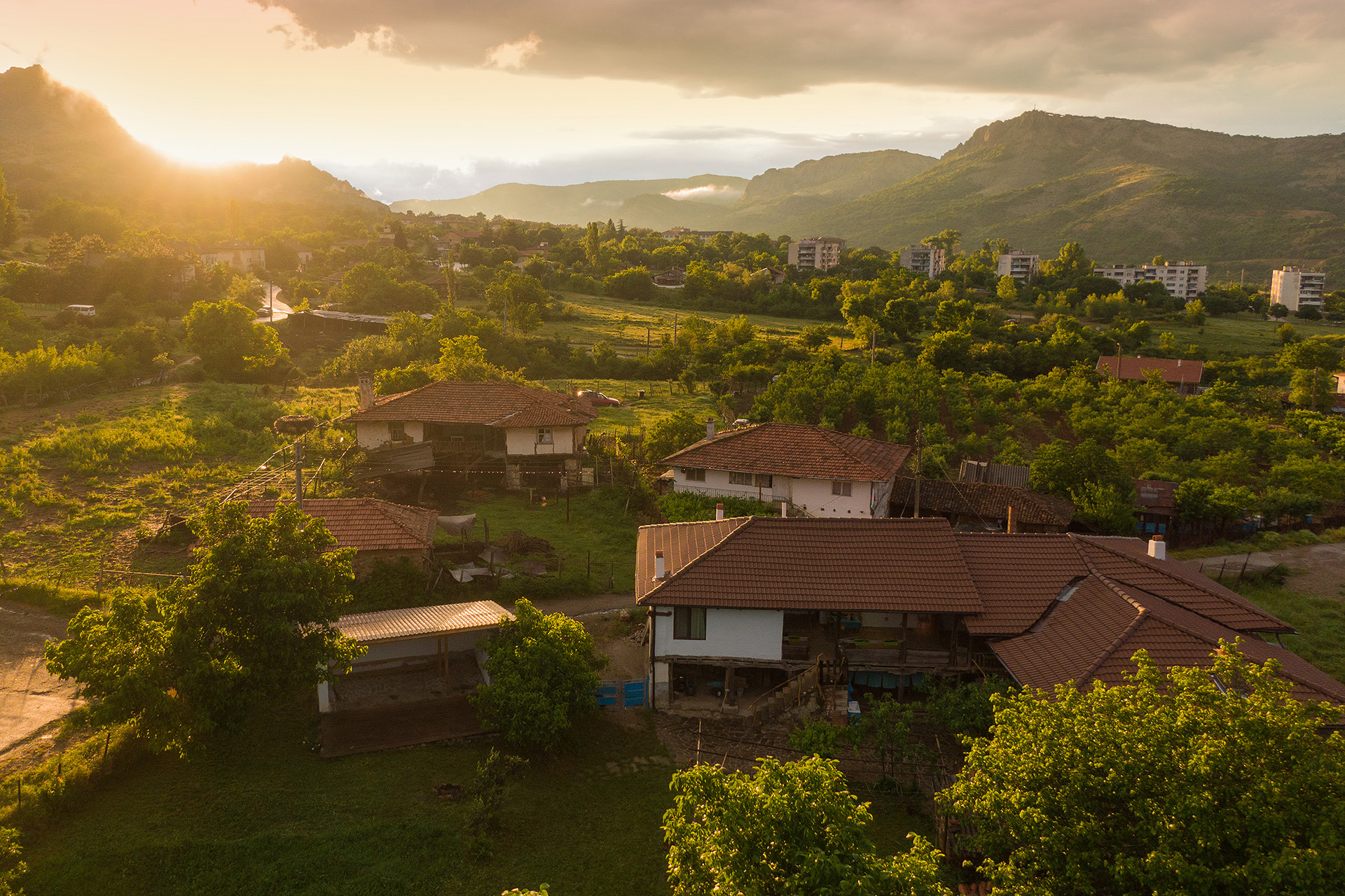 Старото гнездо