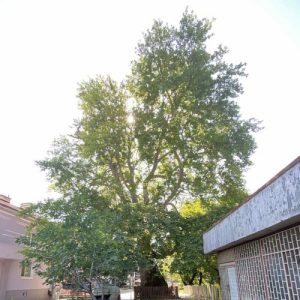 Хотел "Арена  Неврокоп"