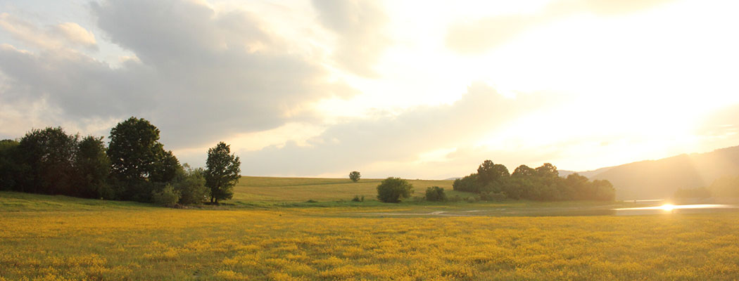 СЛЪНЧЕВАТА КЪЩА-1