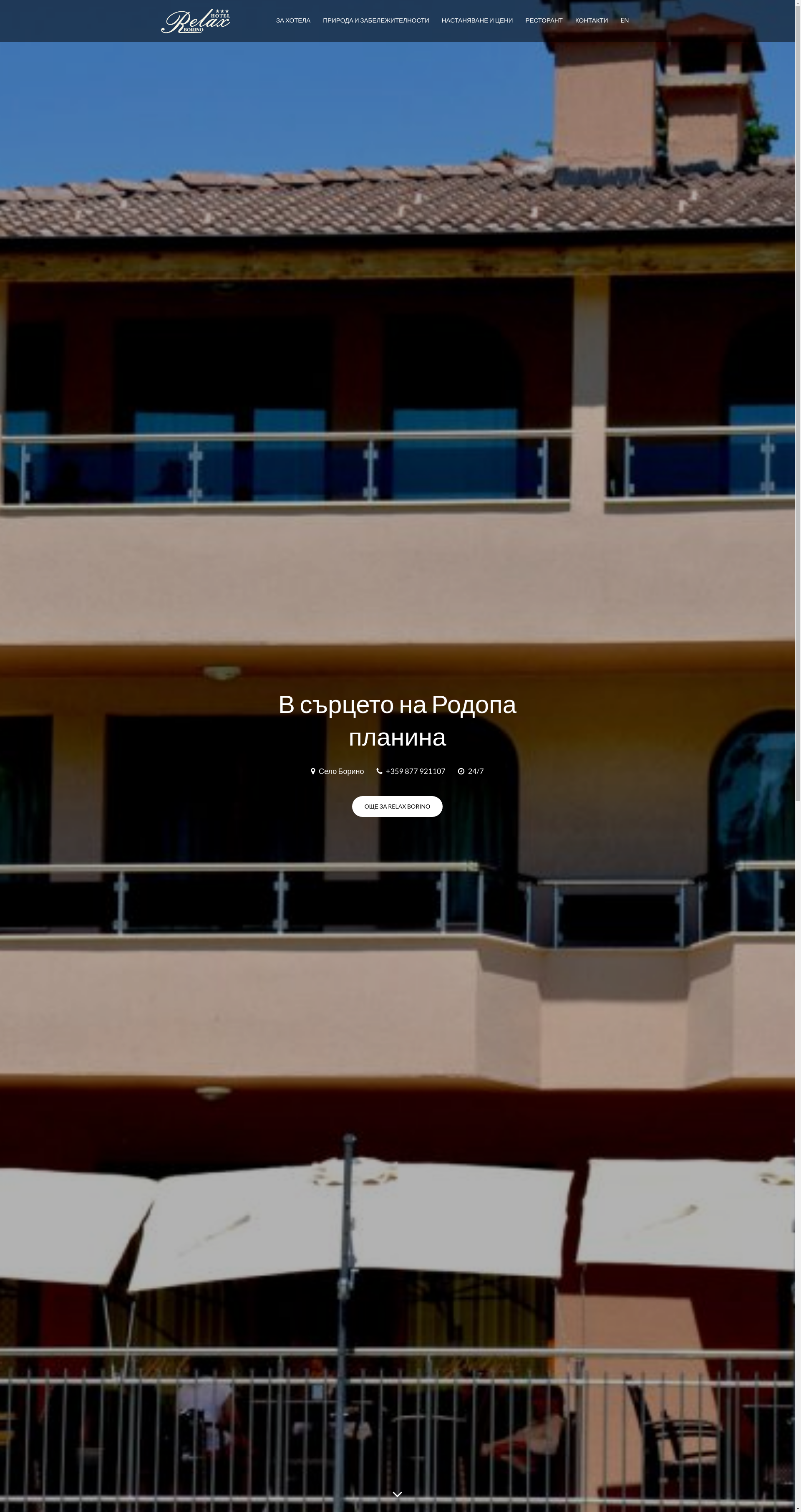 Хотел "Релакс- Борино"